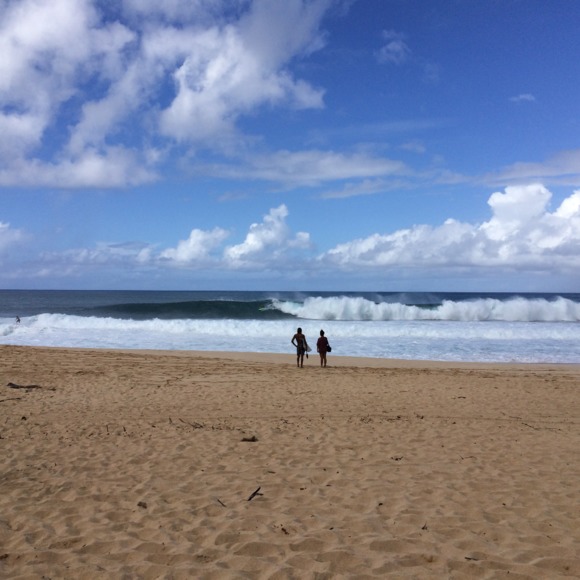 Meet your Posher, Takuji - Picture 1 of 1